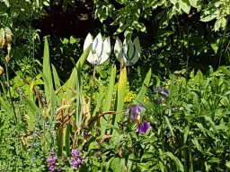 Rita offene Gartentor